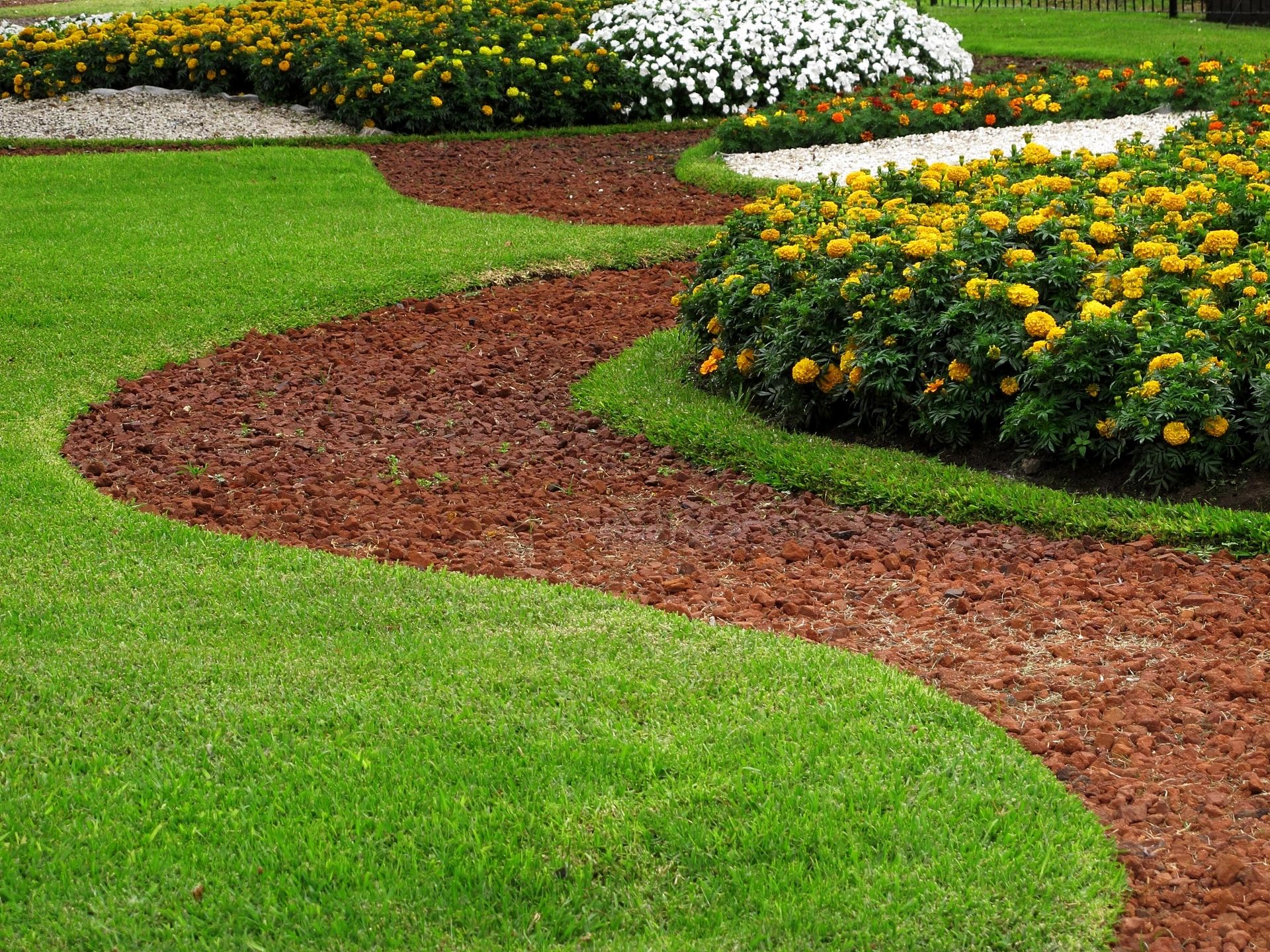 A garden with many flowers and grass